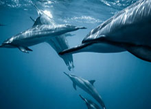 开云注册：开启云端商业新纪元