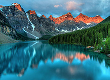 华体会入口:开启你的掌上体育新纪元